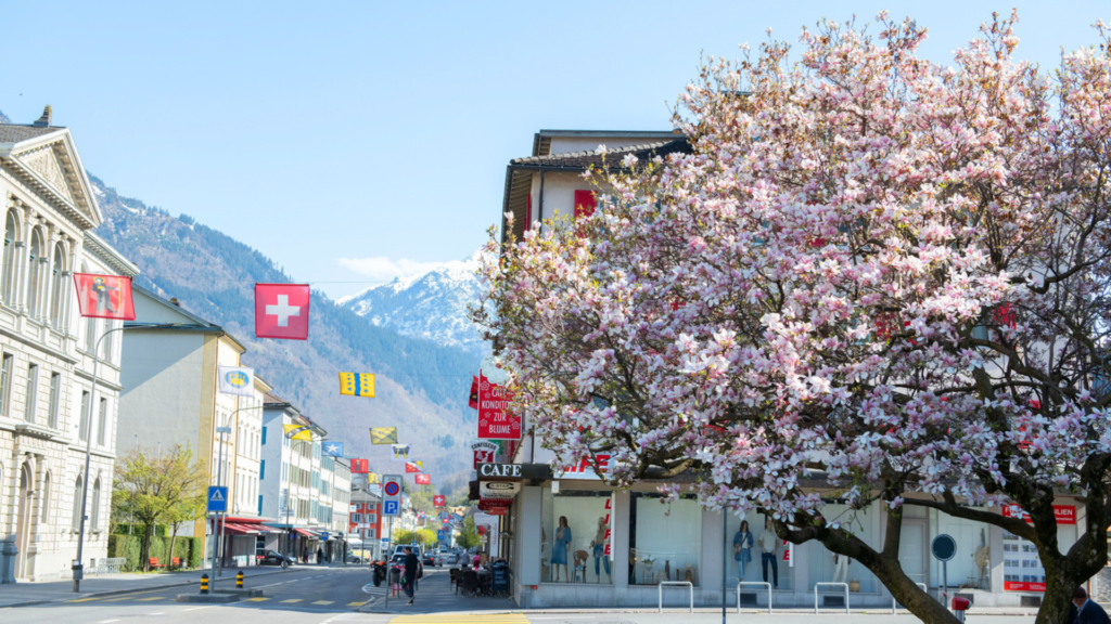 Untitled 2024 05 09T091754.182