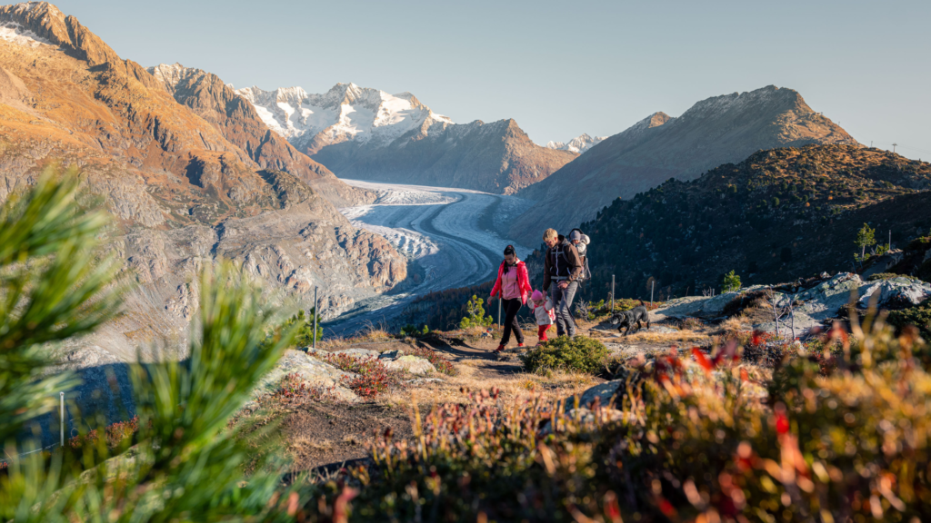 Untitled 2024 05 09T093212.465