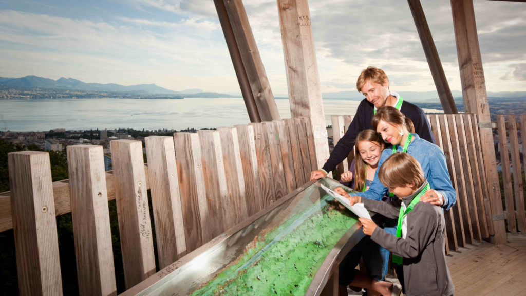 Untitled 2024 05 27T165456.308