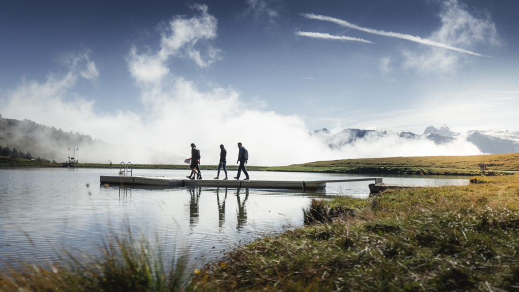 Untitled 2024 05 28T140516.031