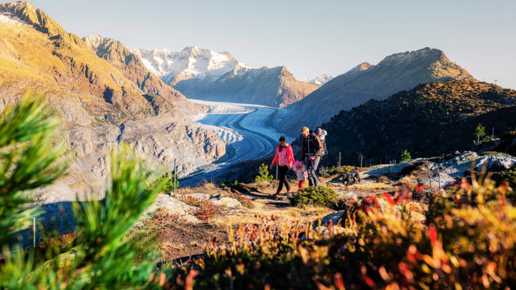 Trail-Empfehlungen in den Bergen 3 Untitled 2024 05 30T100015.843