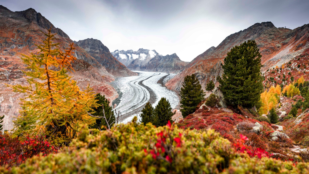 Trail-Empfehlungen in den Bergen 13 Untitled 2024 05 30T100728.936