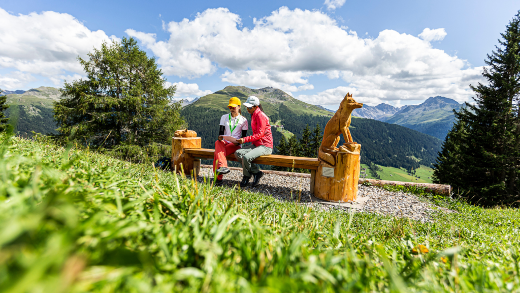 Untitled 2024 06 04T143701.804