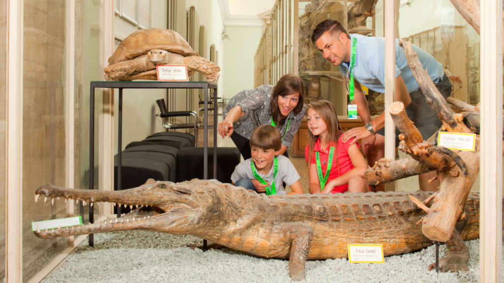 Untitled 2024 06 04T153316.213