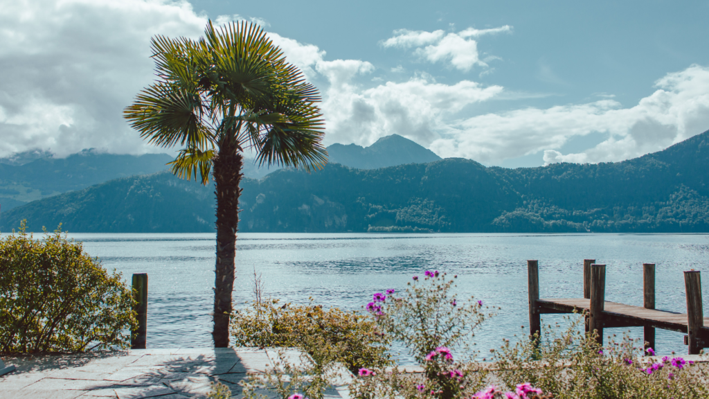 Untitled 2024 06 04T153423.207