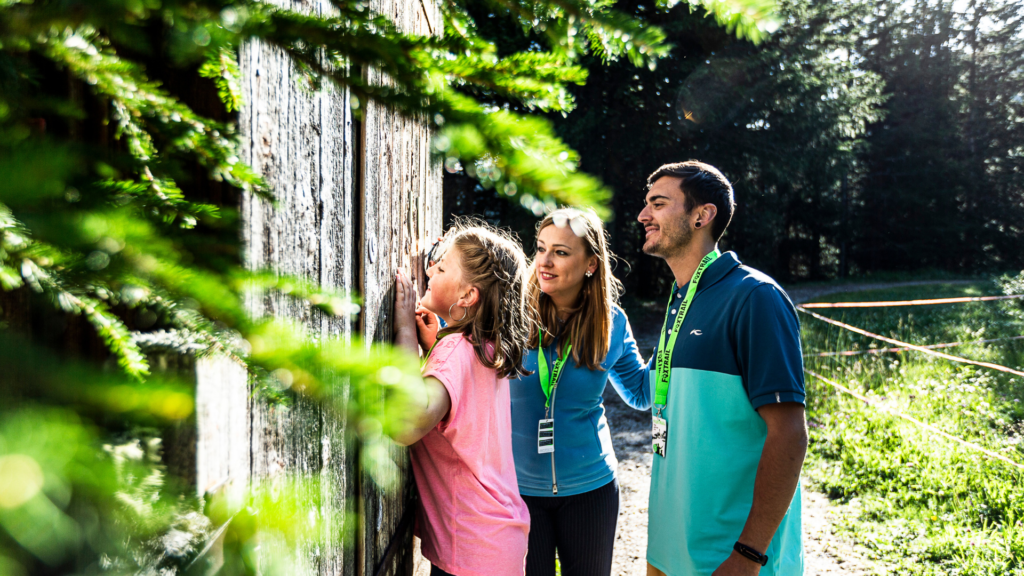 Untitled 2024 06 04T153458.337