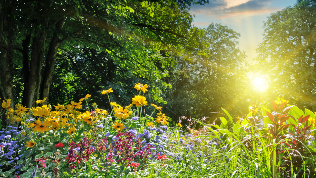 Untitled 2024 06 18T164111.181