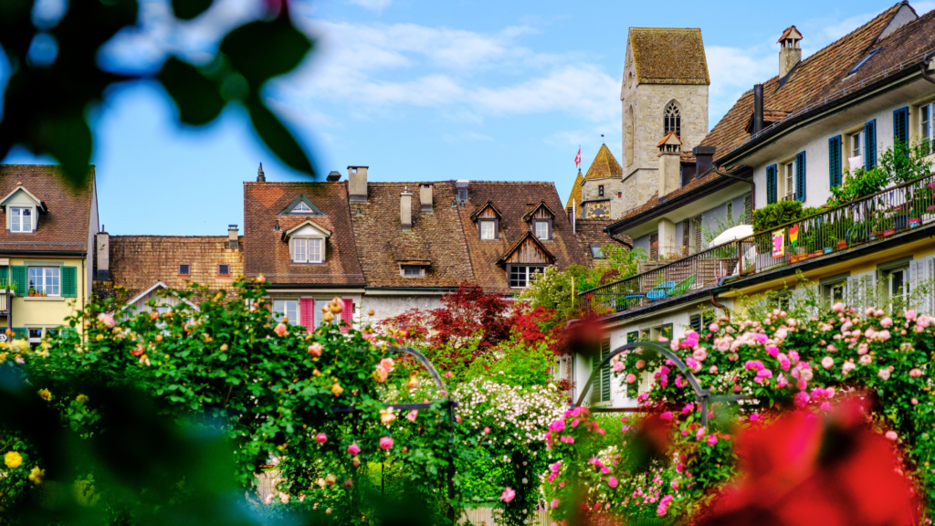 Untitled 2024 06 18T164556.193