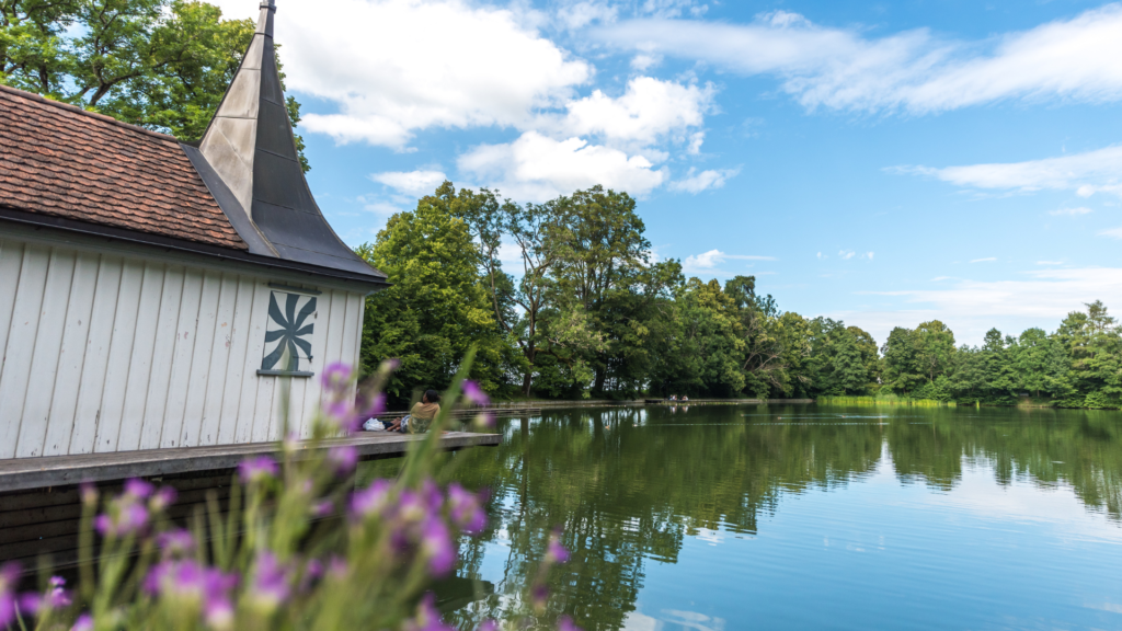 Untitled 2024 06 24T152855.970