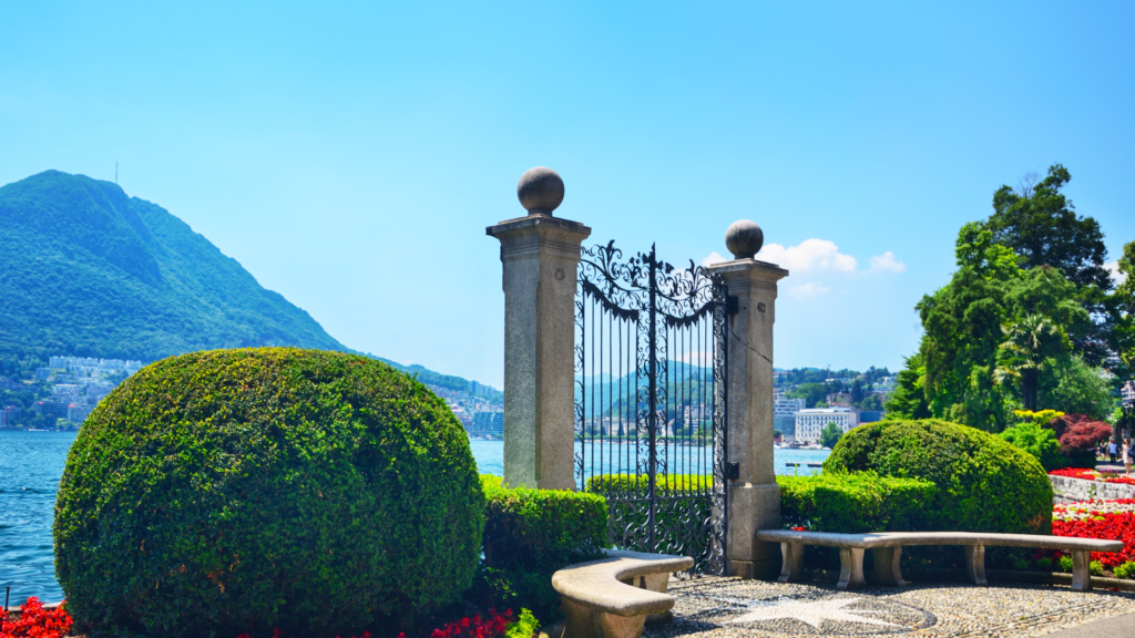 Untitled 2024 06 24T153622.121