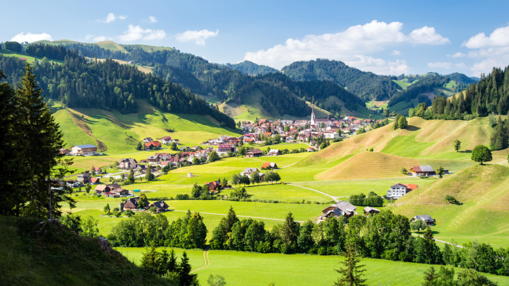 Wieso ein Foxtrail am 01. August? 32 Untitled 2024 07 18T092712.459