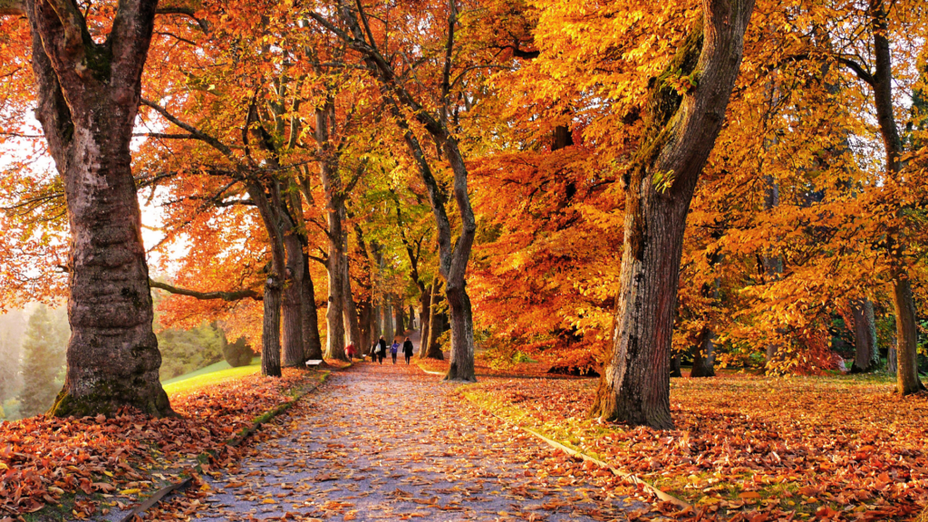 The True Story Fractured Fairy Tale 24 1