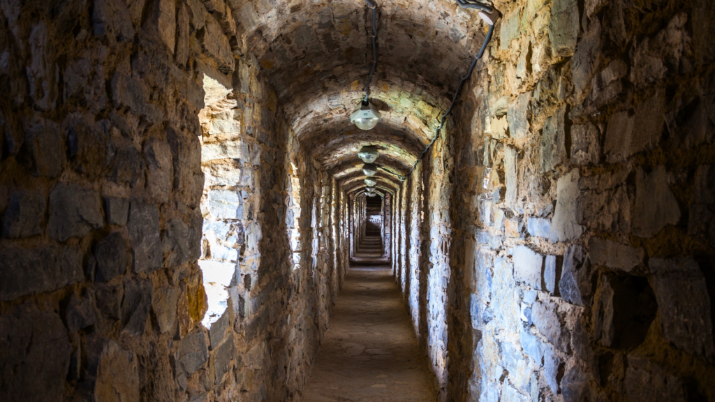 The True Story Fractured Fairy Tale 2024 11 12T152814.680 1