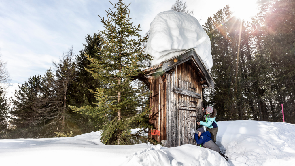 The True Story Fractured Fairy Tale 2024 11 12T153404.738 1