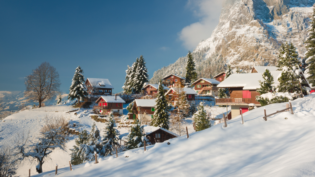 Unsere Trail-Empfehlungen im Winter 49 The True Story Fractured Fairy Tale 30 1