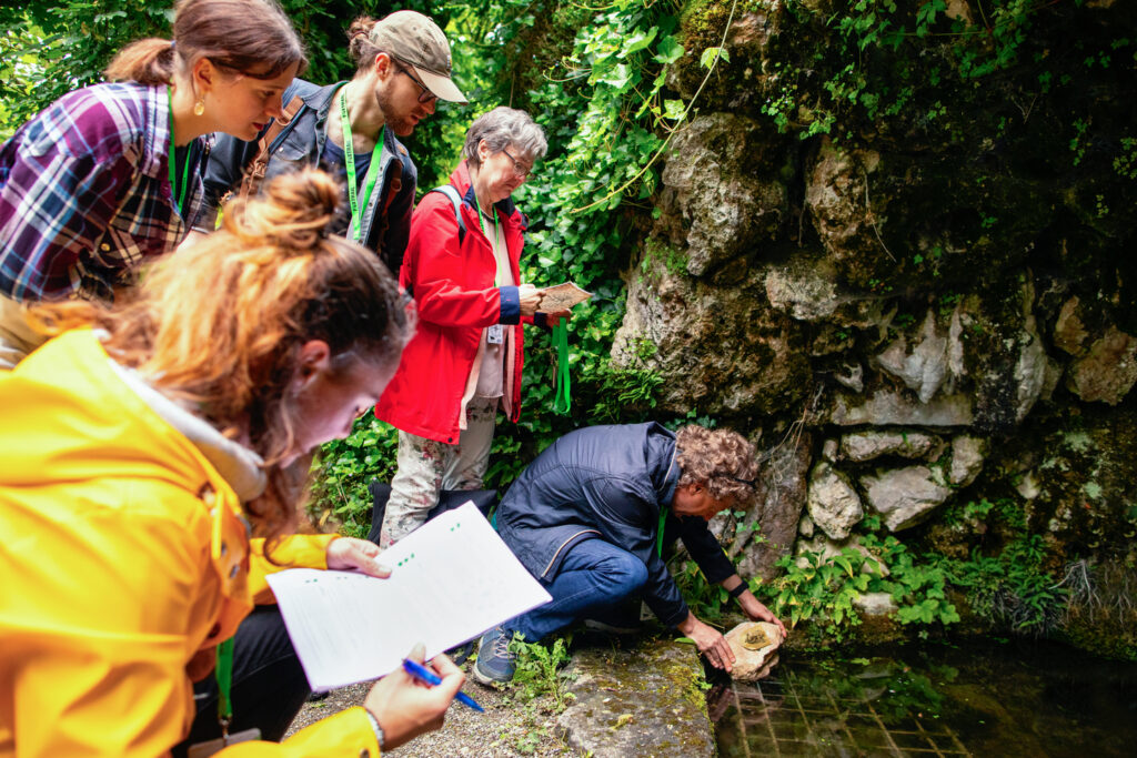 Wettingen: 8 Fun-Facts, die du garantiert noch nicht kanntest! 2 4I2A3888 1