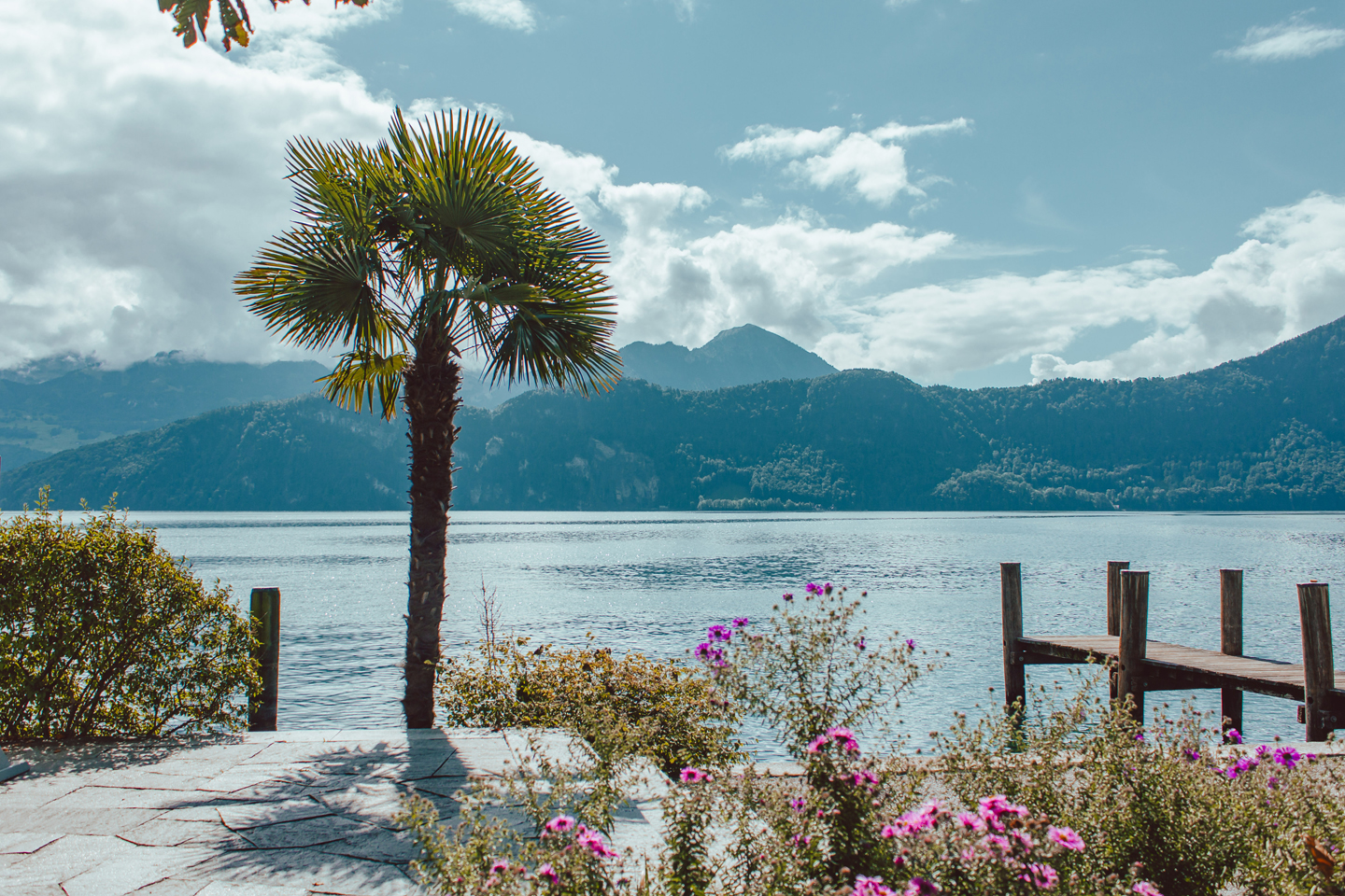 Foxtrail-Helios-Weggis-Vitznau-Ausflug-3 Foxtrail Helios Weggis Vitznau Ausflug 3