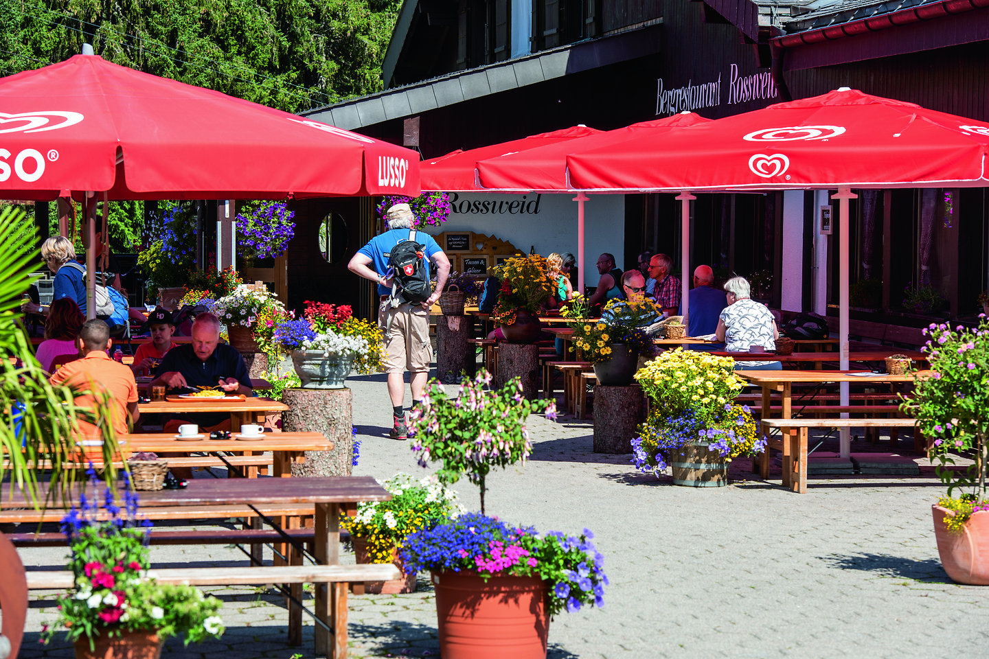 Erlebnis-Restaurant_Rossweid_Sommer_Soerenberg_Samuel-Buettler-17 Erlebnis Restaurant Rossweid Sommer Soerenberg Samuel Buettler 17