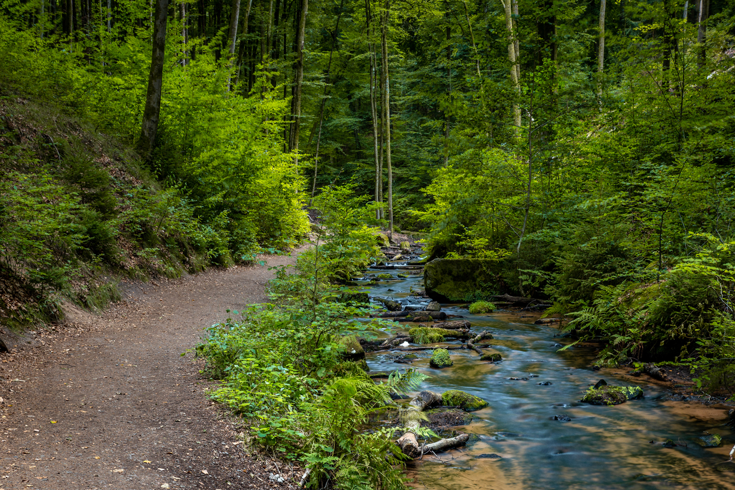 iStock-1536821508-Copy-3 iStock 1536821508 Copy 3