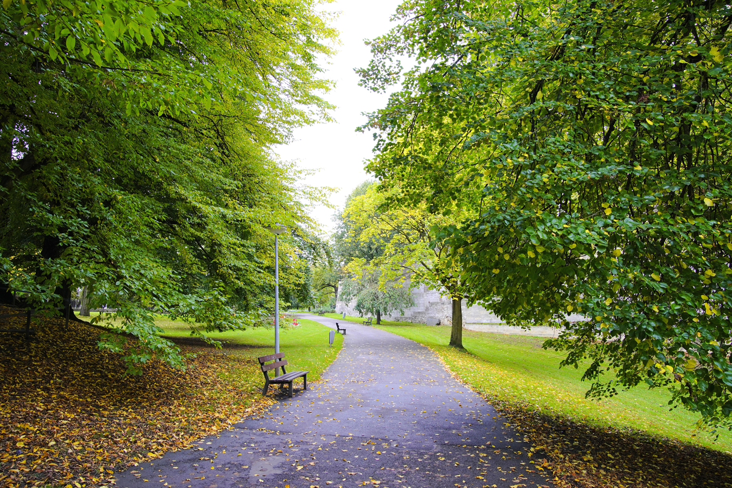 iStock 1452355744 Copy